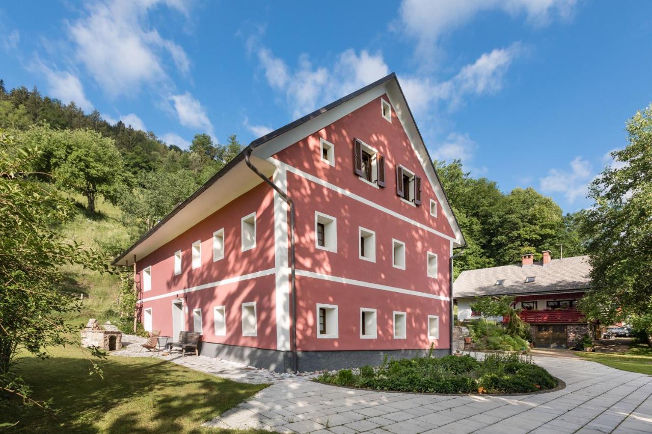 Homestead Farm Tesnak Gorenja Vas  外观 照片